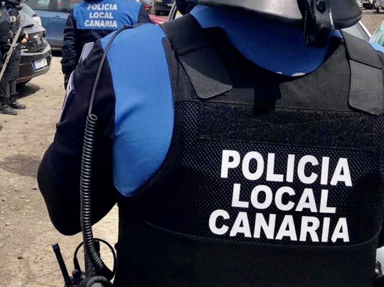 Buscan al propietario de una oveja abandonada mientras agonizaba