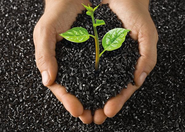 Canarias impulsa su Agenda 2030 y los ODS. (Archivo) Sostenibilidad.