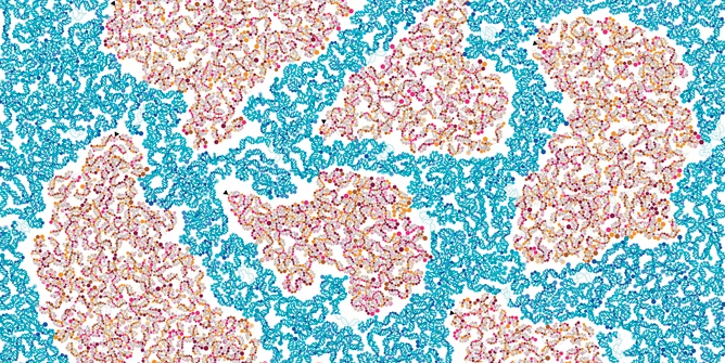 5.000 científicos para secuenciar todo el genoma de la Tierra