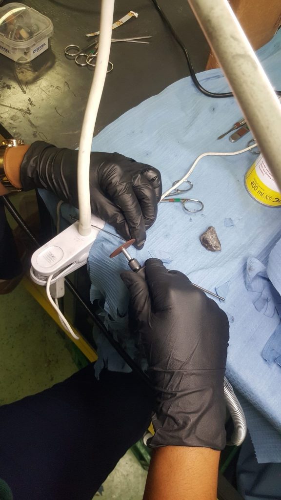 El mayor barco hospital del mundo repara en Tenerife su material quirúrgico para volver a cooperar en Senegal