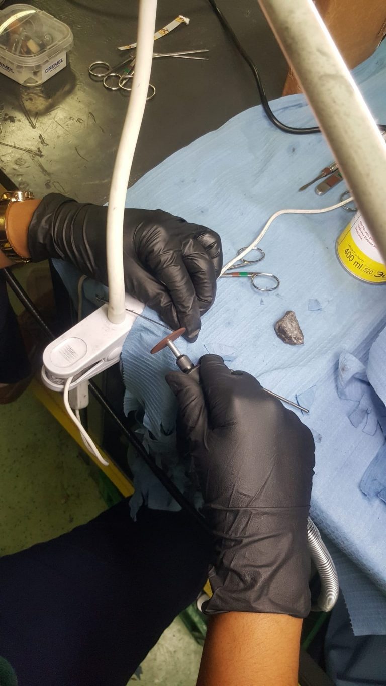 El mayor barco hospital del mundo repara en Tenerife su material quirúrgico para volver a cooperar en Senegal