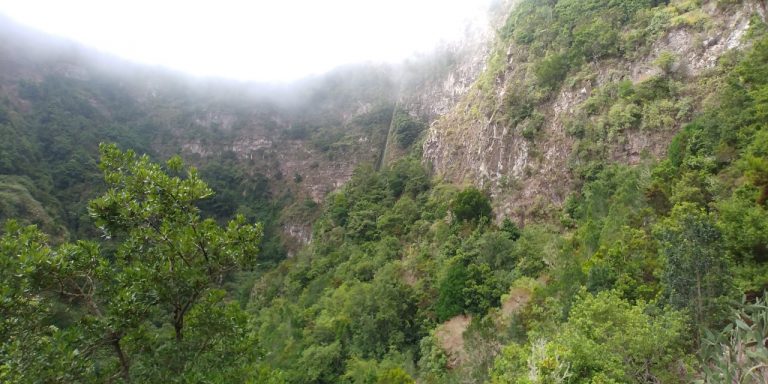 El Garajonay un laboratorio al aire libre