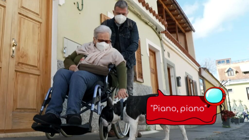 Los ‘Noveleros’ de este martes cumplen sus sueños