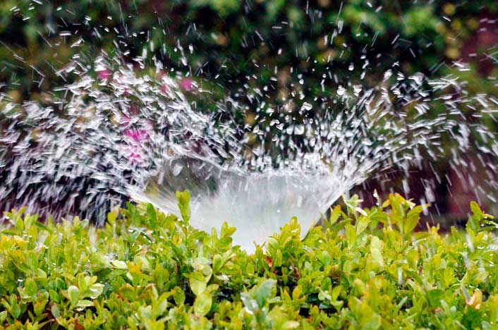 El agua de riego, principal fuente de contaminación por microplásticos en Fuerteventura