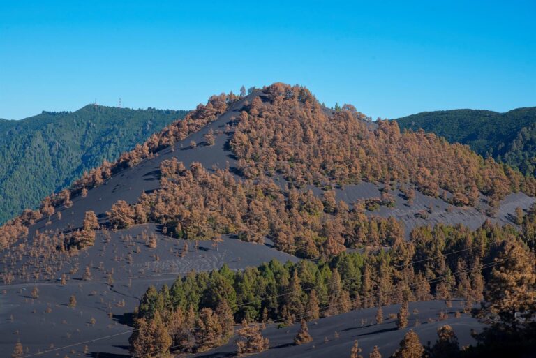Durante la erupción de La Palma hubo dos episodios de lluvia ácida