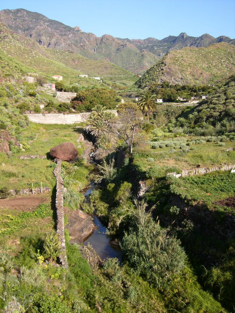 Aparecen aves descabezadas en barranco del Parque Rural de Anaga