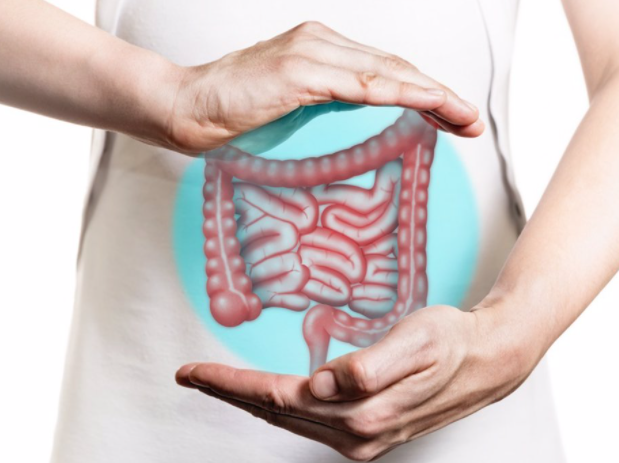 Descubren que los cánceres colorrectales se protegen contra los fármacos