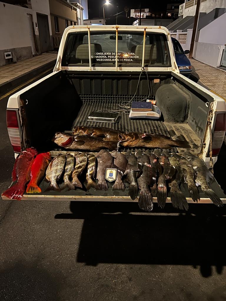 Incautados 29 kilos de pescado ilegal en El Hierro 