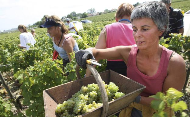 22.000 mujeres de mediana edad están en paro en Canarias