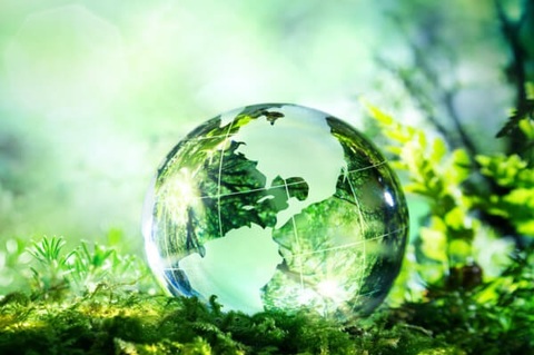 Día Internacional del Clima