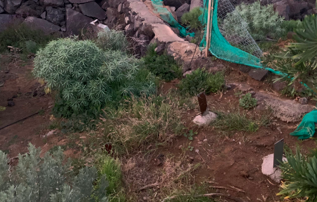 Roban en estación sísmica en La Palma