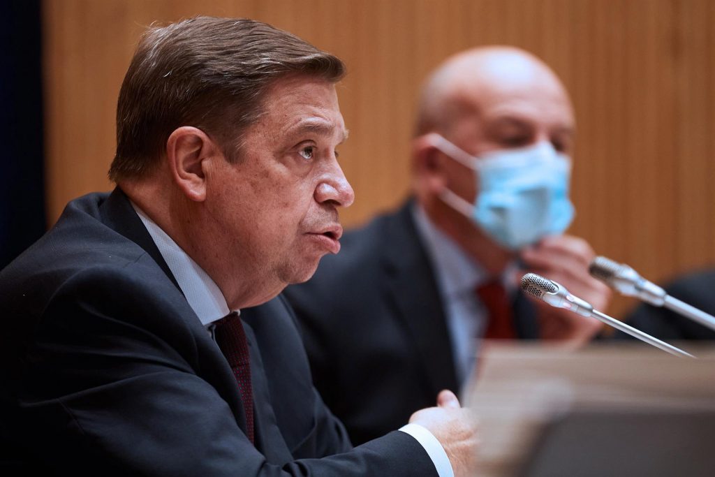 El Gobierno levantará restricciones para el cereal argentino