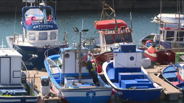 Entre el 20 y el 25 por ciento de la flota pesquera canaria secunda el paro nacional