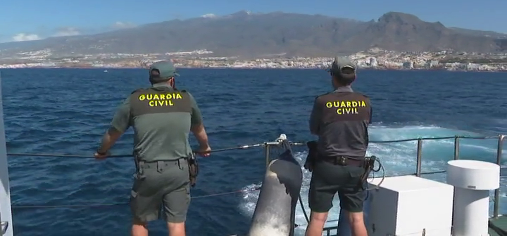 La Guardia Civil inspecciona a las embarcaciones que realizan avistamientos de cetáceos