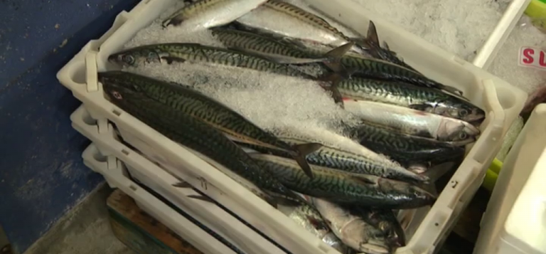 Acaba el acuerdo pesquero entre la Unión Europea y Marruecos