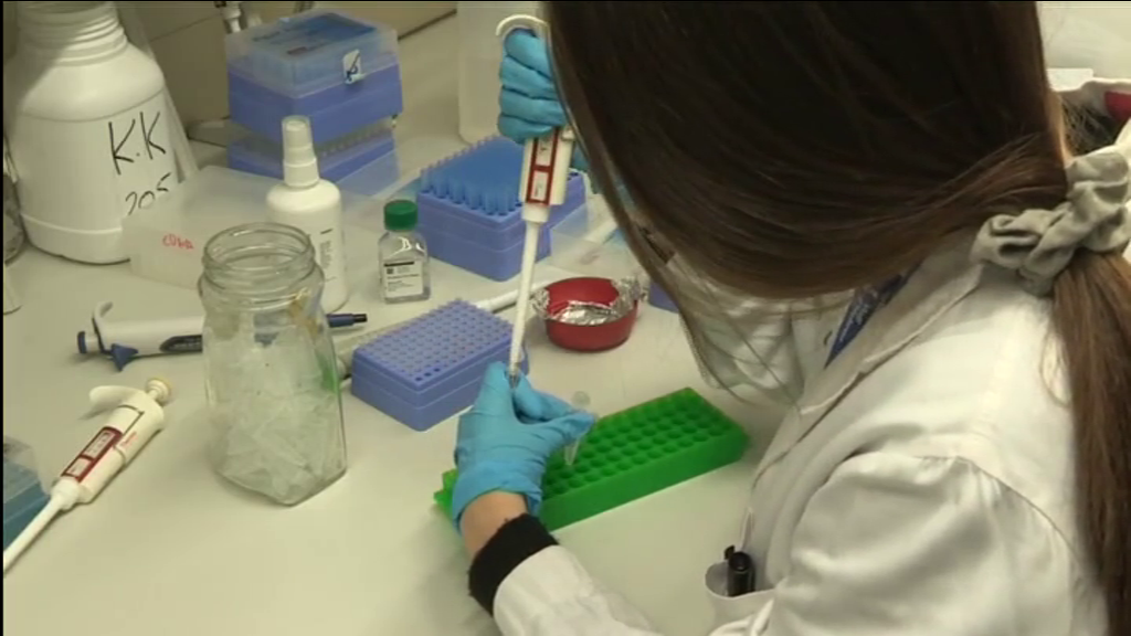 Un nuevo fármaco podría frenar el cáncer de mama en el 75 por ciento de los casos