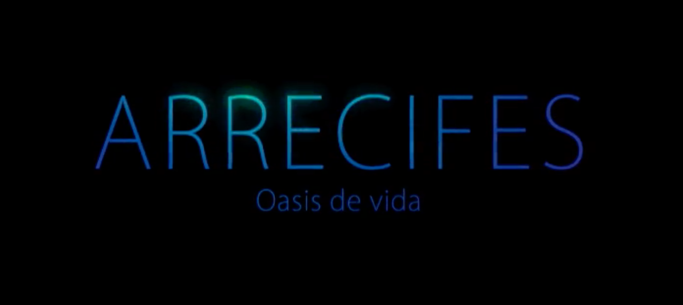 Arrecifes, oasis de vida