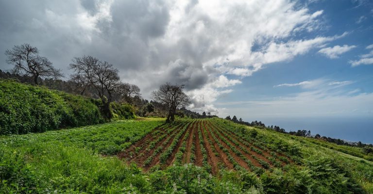 Los agrónomos proponen blindar el suelo agrario