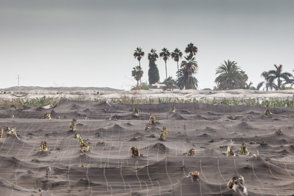 Las ayudas públicas para La Palma ascienden a 441,4 millones de euros