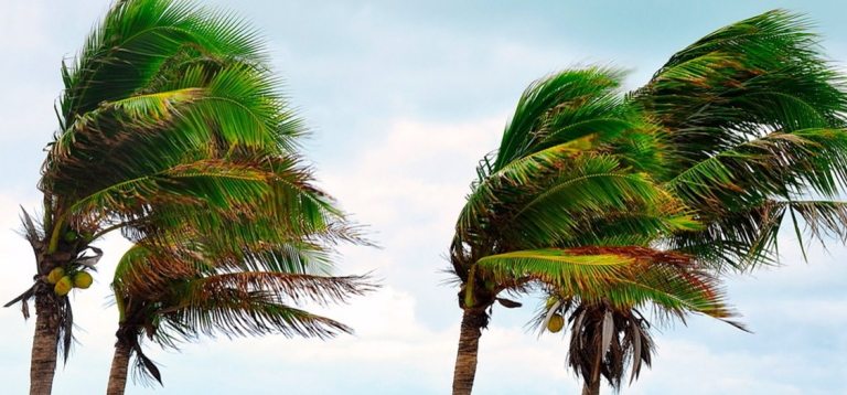 Decretan la alerta por viento en Canarias para el domingo