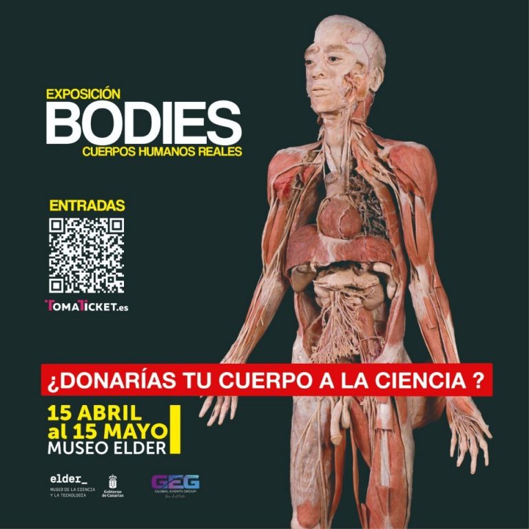 El Museo Elder presenta la exposición “Bodies, cuerpos humanos reales”