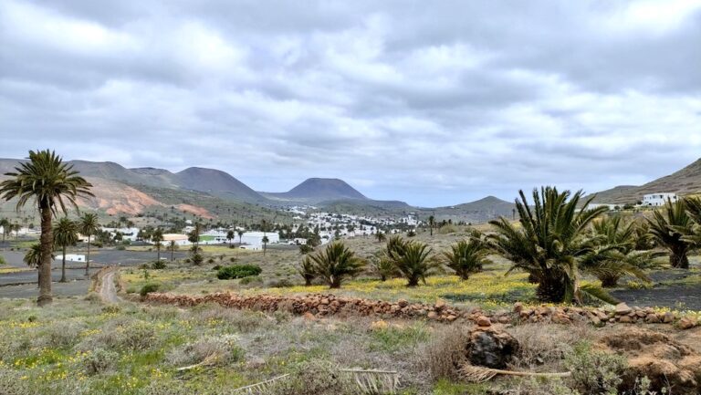 Los alisios se alejan de Canarias, aumentando el riesgo de incendio
