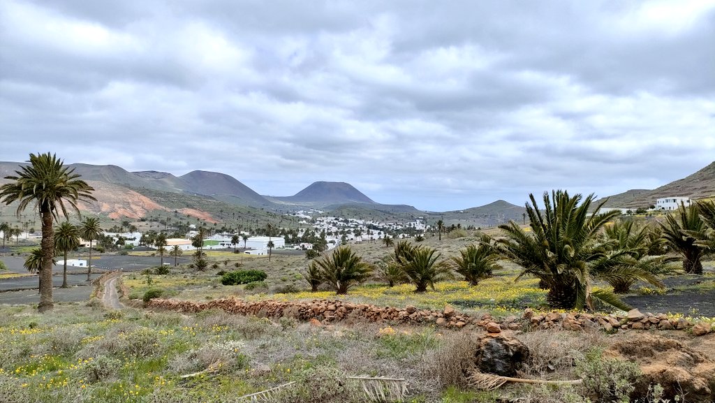 El desplazamiento del anticiclón de las azores podría bajar la influencia de los alisios en Canarias, desprotegiéndonos de los incendios