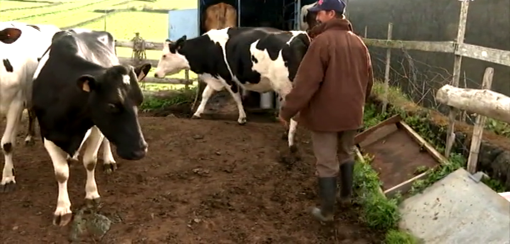 El Gobierno se compromete a movilizar al ganado a zonas más seguras si finalmente se produce una erupción. Se han registrado dos terremotos de magnitud tres en las últimas doce horas