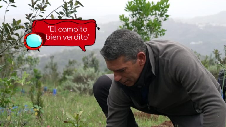 ‘Noveleros’ muestra los paisajes más verdes de las Islas