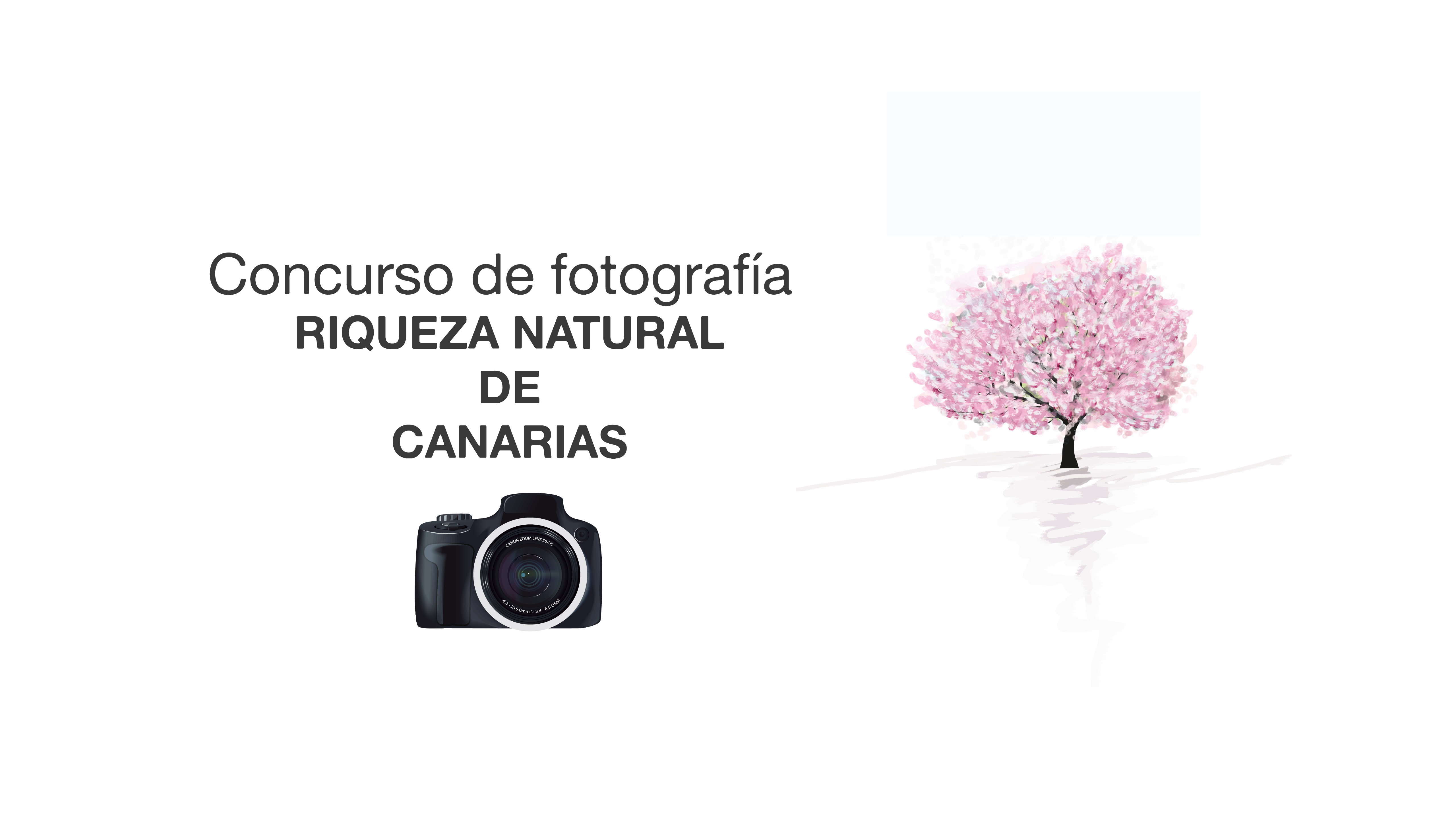 CONCURSO de fotografía