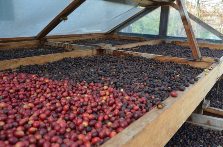 La industria rural, la producción de cercanía que está en auge