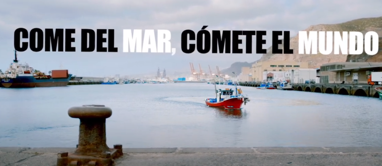 Cabildo de Tenerife y ULL se unen para favorecer el consumo del pescado de kilómetro cero