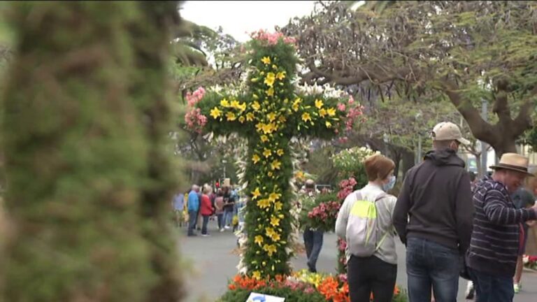 Más de 50 monumentos florales engalanan Santa Cruz de Tenerife