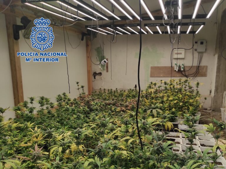 Desmantelada una plantación de marihuana en el interior de un chalet de Playa Paraíso 
