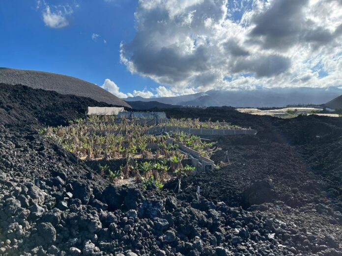 Reunión entre Gobierno de Canarias y la comunidad de regantes en Los Llanos de Aridane para planificar los regadíos en las zonas afectadas por la erupción / Consejería de Agricultura Gobierno de Canarias