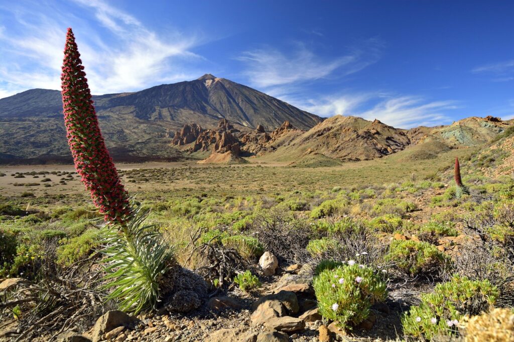 Valbuena destaca el proceso de participación ejemplar en el borrador del Plan Rector de Uso y Gestión del Parque Nacional del Teide