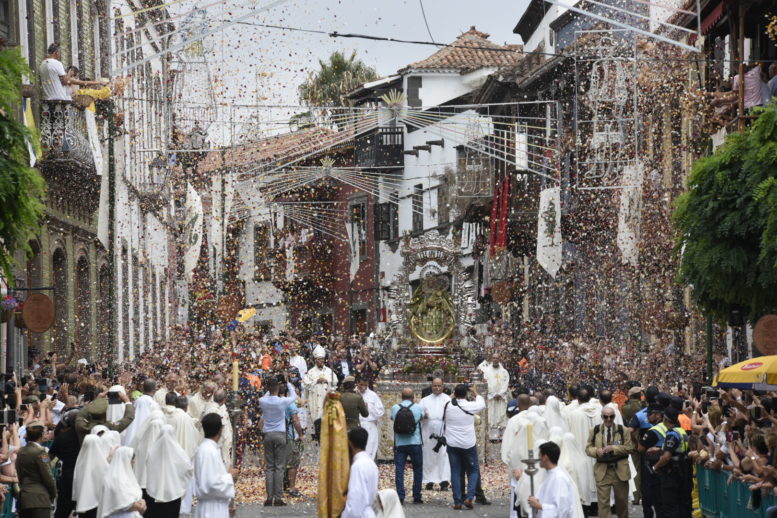 Vuelve la Fiesta del Pino a Gran Canaria en todo su esplendor