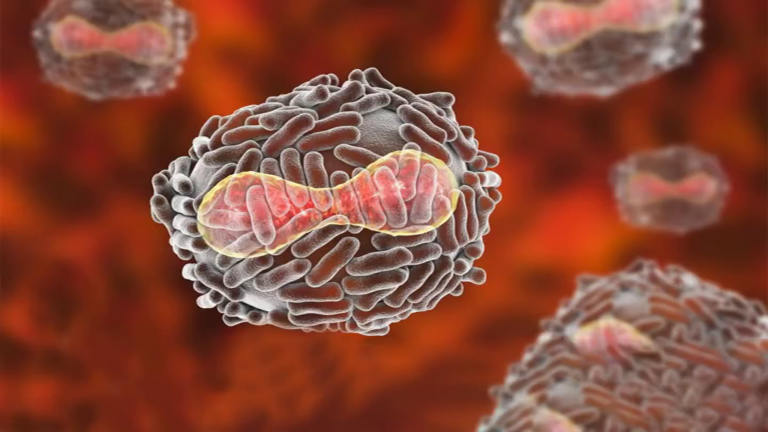 Madrid contabiliza 30 casos confirmados de viruela del mono y 45 sospechosos