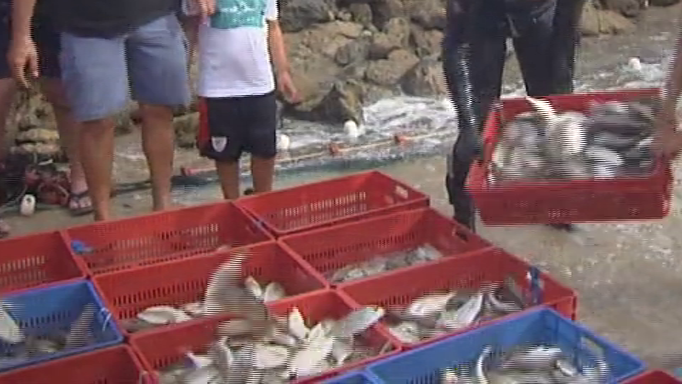 Canarias alberga una gran riqueza cultural en la que se enmarcan sus numerosos festejos. Con el fin de las restricciones, el Archipiélago ha recuperado sus fiestas tradicionales