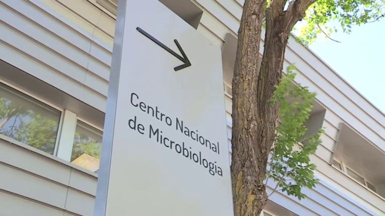 Los expertos creen que la viruela del mono no pasará de ser un brote