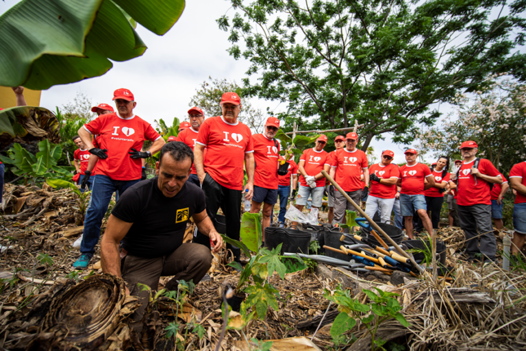 El voluntariado corporativo se suma al proyecto ‘Planta La Palma’ de Cruz Roja