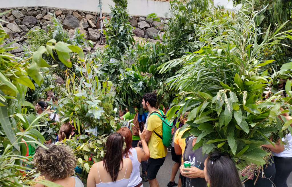 El Valle de Agaete celebra su 'Rama' por San Pedro sin Tamadaba