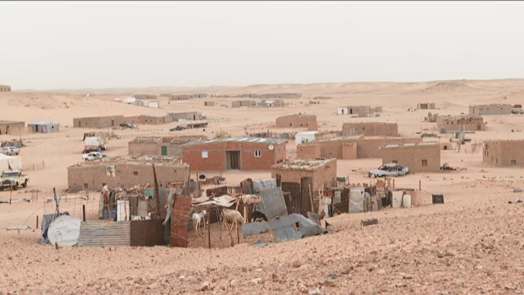 Sobrevivir en el destierro 