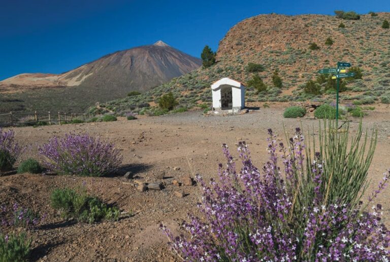 Tenerife registra los valores más altos de emisión difusa de gases volcánicos