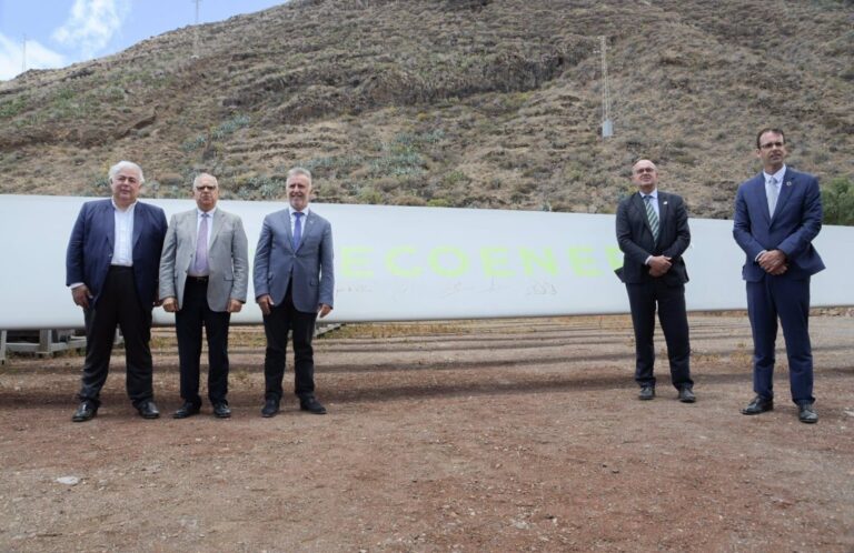 Cinco parques eólicos abastecerán de energía a toda La Gomera
