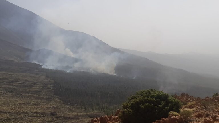 El incendio de Tenerife en retroceso