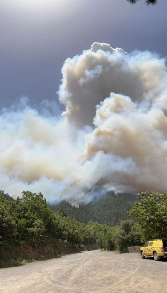 Bomberos Tfe incendio