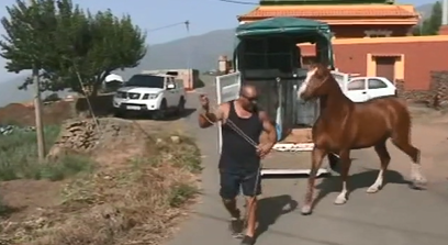 Gran parte de los vecinos desalojados por el incendio de Tenerife han vuelto este lunes a sus casas