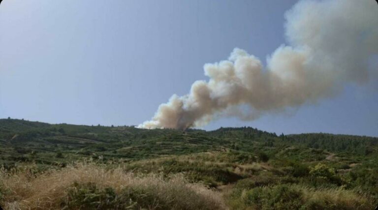 Sin control el incendio de Los Realejos. Afecta a unas 200 hectáreas y tiene un perímetro de cinco kilómetros