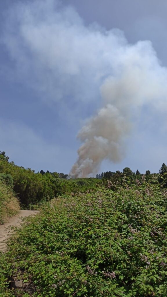 Tres autobombas y un helicóptero trabajan en el conato declarado en Los Realejos